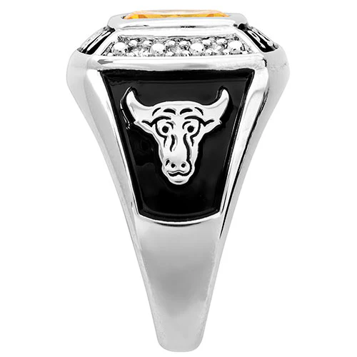 Ladies' Sterling Silver Traditional Birthstone and Diamond Accent Class Ring - Image 3
