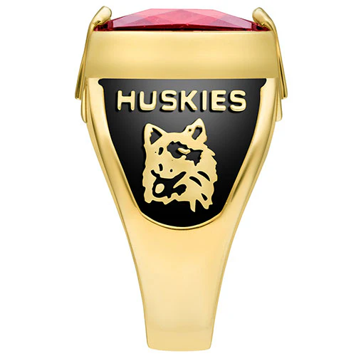 Men's 18K Gold over Sterling Traditional Deco Stone Class Ring - Image 4