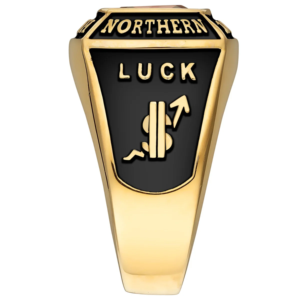Men's Gold over Sterling Traditional Square Birthstone Class Ring - Image 3