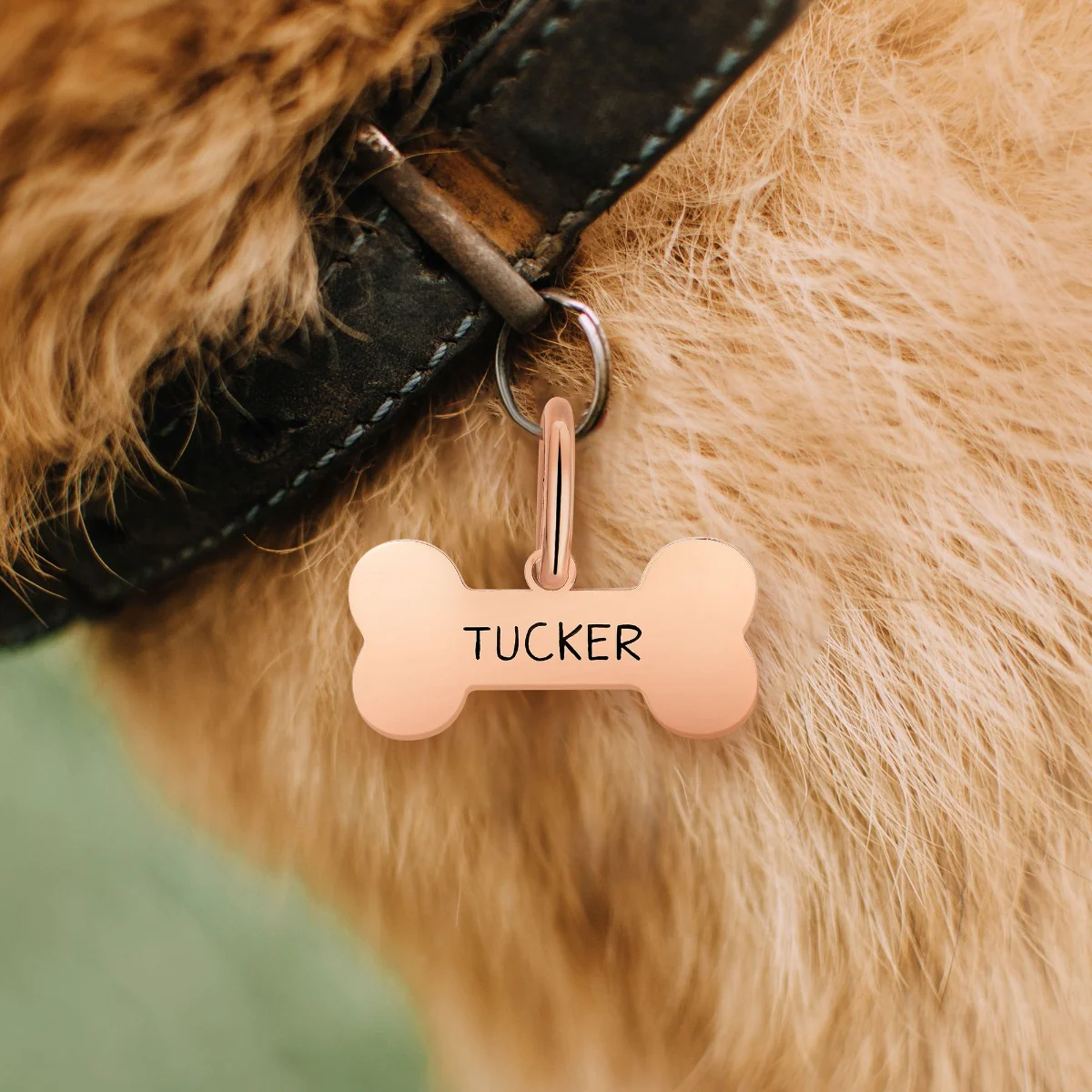 Stainless Steel Personalized Engraved Cut-out Bone Pet Tag - Image 10