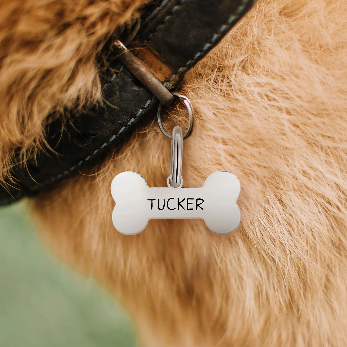 Stainless Steel Personalized Engraved Cut-out Bone Pet Tag - Image 6