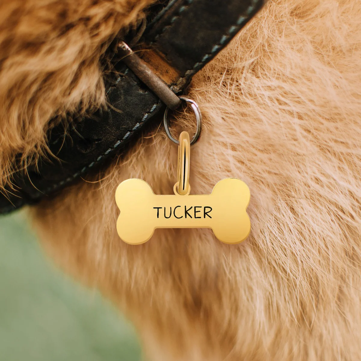 Stainless Steel Personalized Engraved Cut-out Bone Pet Tag - Image 8