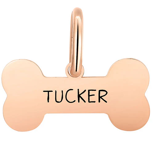 Stainless Steel Personalized Engraved Cut-out Bone Pet Tag - Image 9