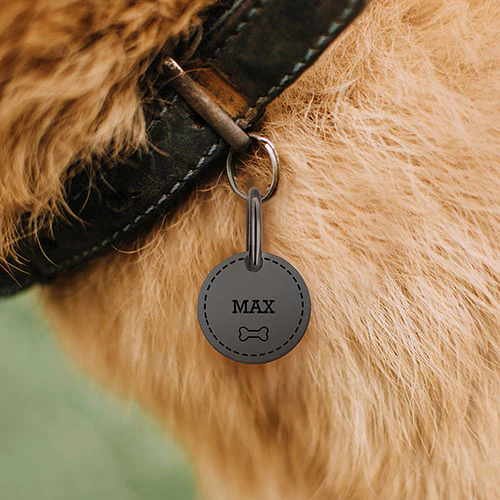 Stainless Steel Personalized Engraved Disc with Bone Pet Tag - Image 12