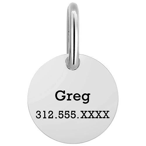 Stainless Steel Personalized Engraved Disc with Bone Pet Tag - Image 4