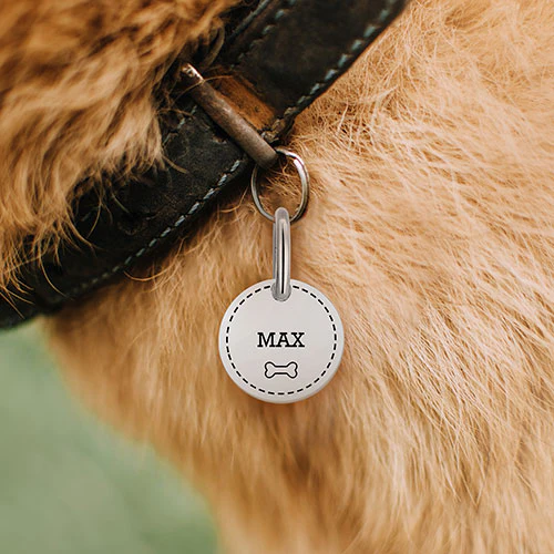 Stainless Steel Personalized Engraved Disc with Bone Pet Tag - Image 6