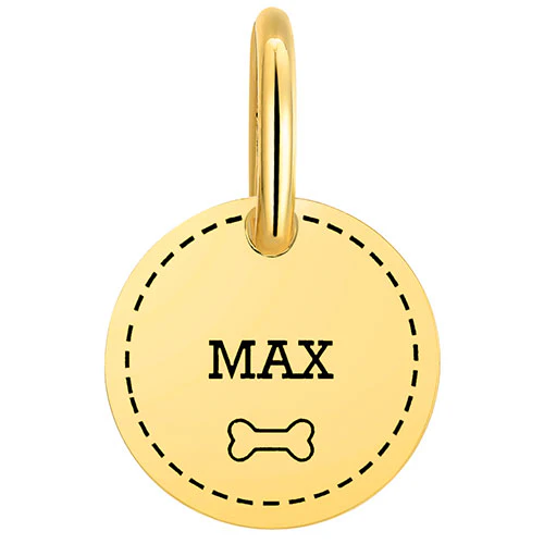 Stainless Steel Personalized Engraved Disc with Bone Pet Tag - Image 7