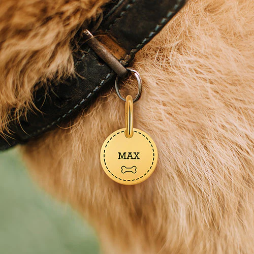 Stainless Steel Personalized Engraved Disc with Bone Pet Tag - Image 8
