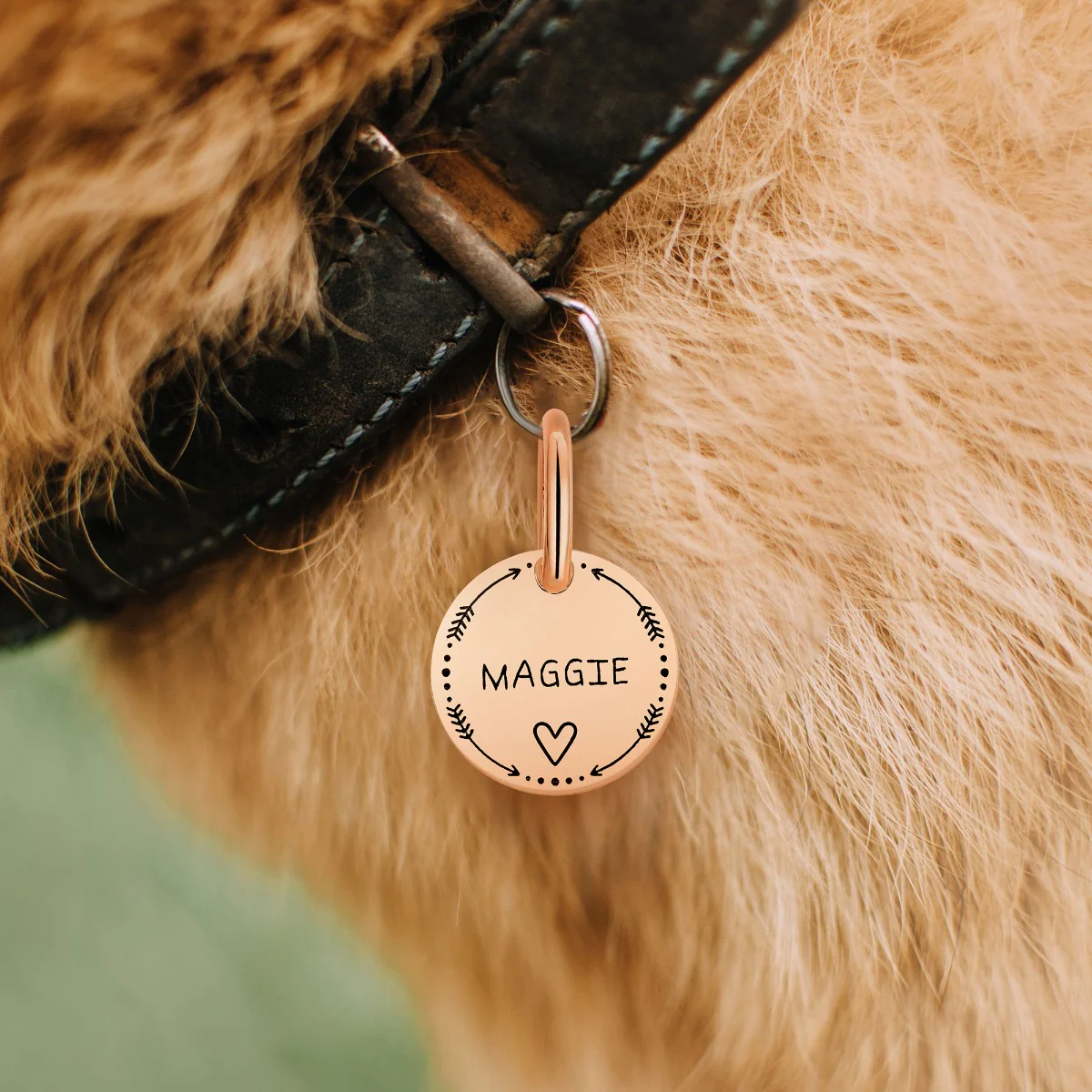 Stainless Steel Personalized Engraved Disc with Heart Pet Tag - Image 10