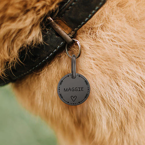 Stainless Steel Personalized Engraved Disc with Heart Pet Tag - Image 12