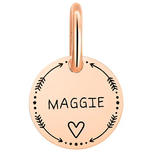 Stainless Steel Personalized Engraved Disc with Heart Pet Tag - Image 9