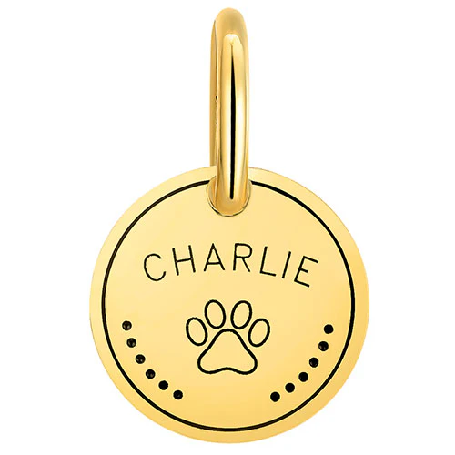 Stainless Steel Personalized Engraved Disc with Paw-Print Pet Tag - Image 7