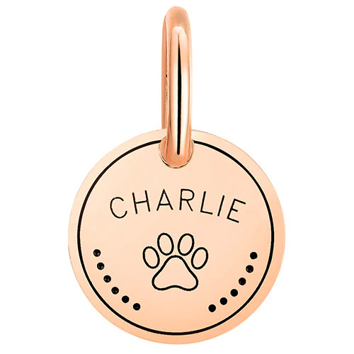 Stainless Steel Personalized Engraved Disc with Paw-Print Pet Tag - Image 9