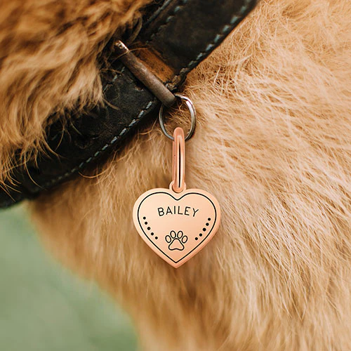 Stainless Steel Personalized Engraved Heart with Paw-Print Pet Tag - Image 10