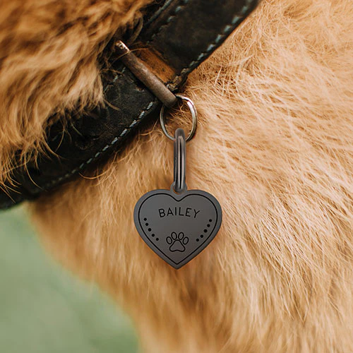 Stainless Steel Personalized Engraved Heart with Paw-Print Pet Tag - Image 12