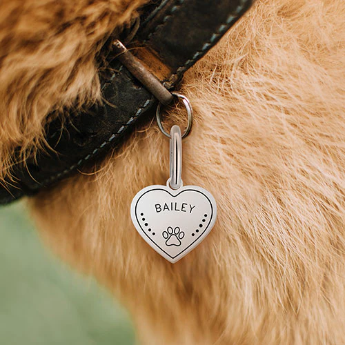 Stainless Steel Personalized Engraved Heart with Paw-Print Pet Tag - Image 6