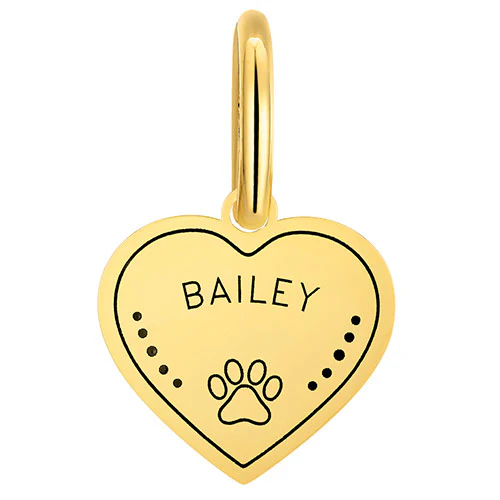 Stainless Steel Personalized Engraved Heart with Paw-Print Pet Tag - Image 7