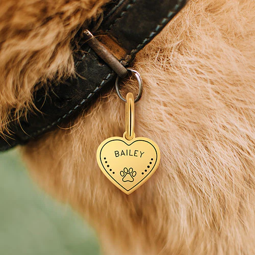 Stainless Steel Personalized Engraved Heart with Paw-Print Pet Tag - Image 8