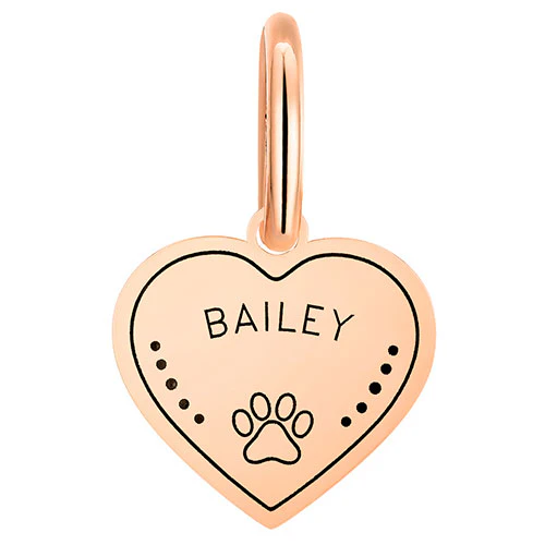 Stainless Steel Personalized Engraved Heart with Paw-Print Pet Tag - Image 9